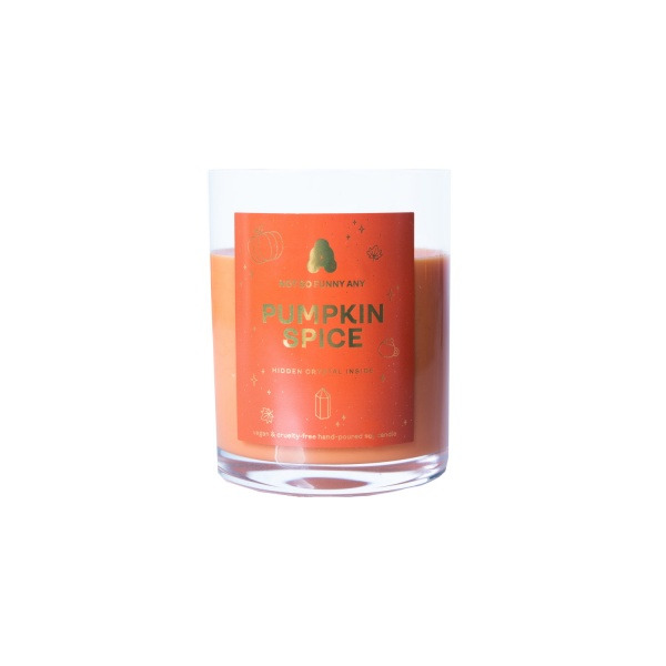 NOT SO FUNNY ANY Soy Candle - Pumpkin